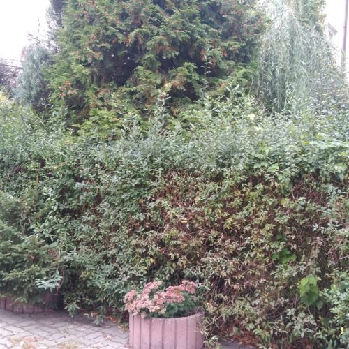 Szczotka Zmiotka Sprzątanie Osiedli Budynków Biur Odśnieżanie